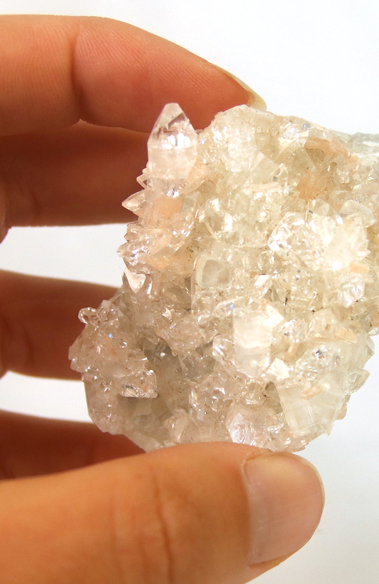 Apophyllite Cluster